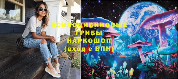 apvp Алексин