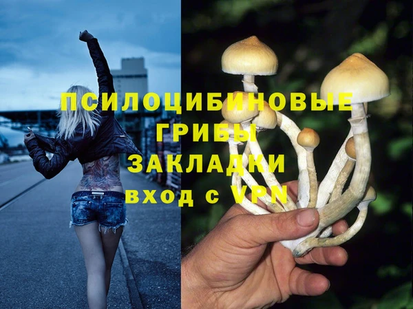 apvp Алексин