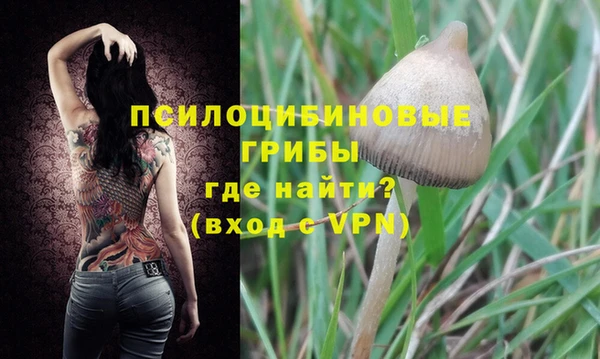 Альфа ПВП Алзамай