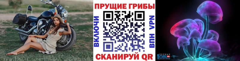 kraken онион  Спасск  Псилоцибиновые грибы Magic Shrooms 